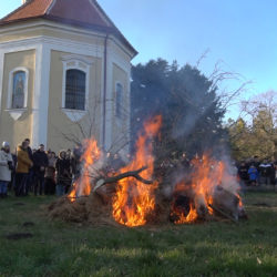 badnjak melenci