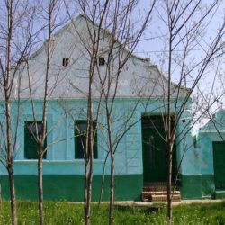 graditeljstvo madjara u srednjem banatu