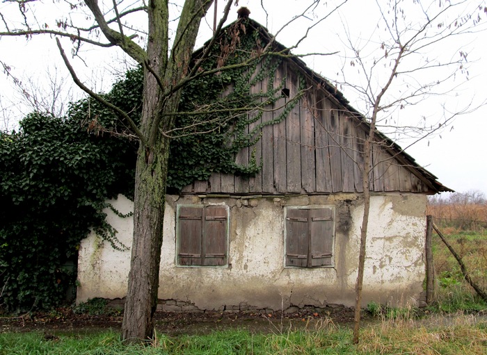 graditeljstvo madjara u srednjem banatu1