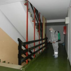 DSCN8404
