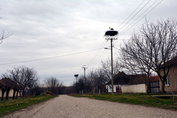 roda prvoje