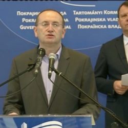 zoran gojkovic igor mirovic