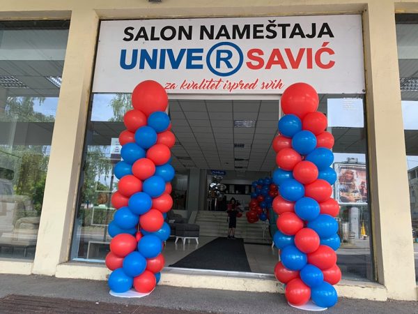 univer savic 1