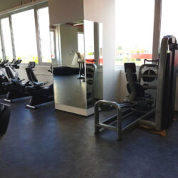wonder gym