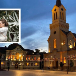 vencani parovi zrenjanin4