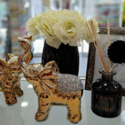 wolf and co gift slonovi