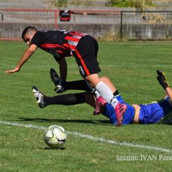 fk radnicki