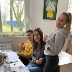 privatna srednja skola zrenjanin