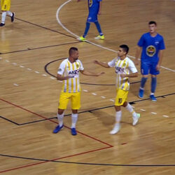 mali fudbal radenkovic