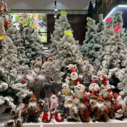 Shopping Family 16