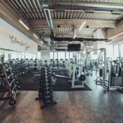 wonder gym 31