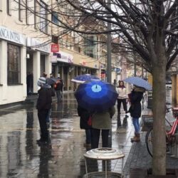 zrenjanin centar kisa vremenska