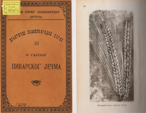 гајењу пиварског јечма са сликама аутор Ђорђе Радић Београд 1904.