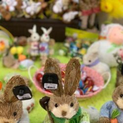 Robna kuca Shopping Family 33 1
