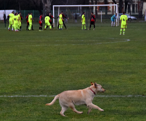 fk radnicki stadion kraj skrobare 1