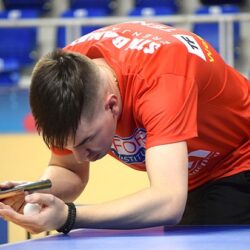 ilija majstorovic 1