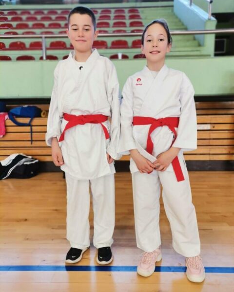 karate zrenjanin