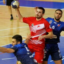 predrag krivosija 2021 proleter zvezda