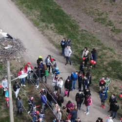 roda u genzdu