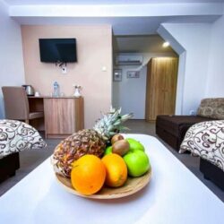 Kiko apartmani smestaj sobe prenociste Zrenjanin