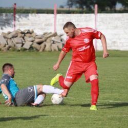 fk vojvodina basaid ask aradac 2021