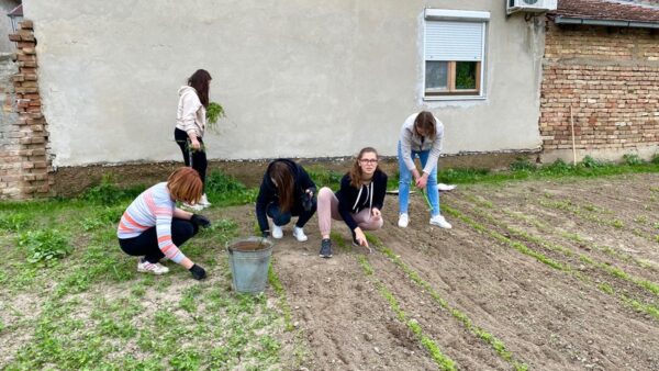 poljoprivredna skola zrenjanin14