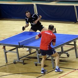 stoni tenis karvaljo jevtovic