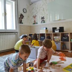 focus skoligrica zrenjanin