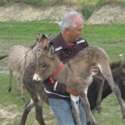magarci i zoltan