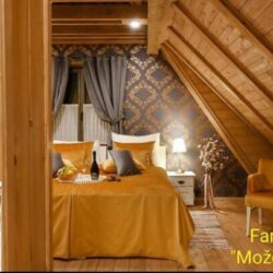 farbara mozes sam hemmax