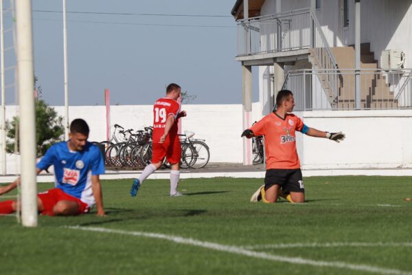 fk vojvodina basaid polet nakovo