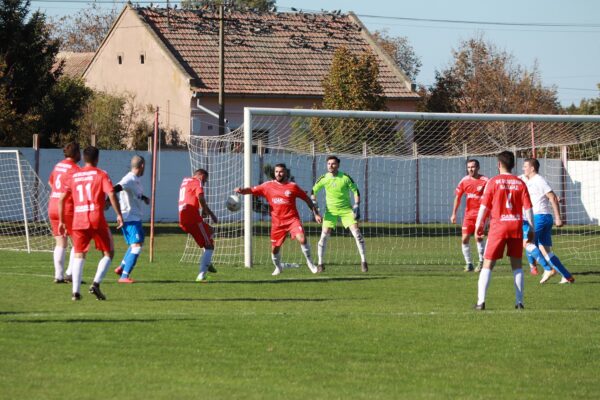 fk vojvodina basaid mladost bd 2021