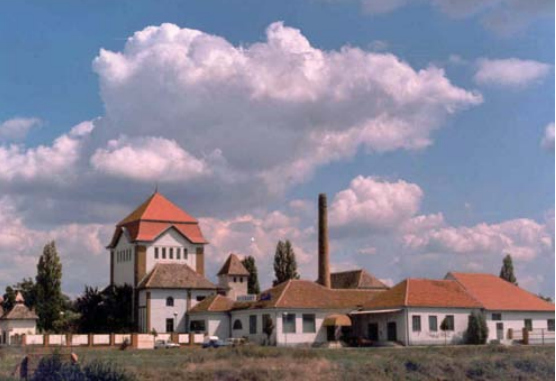 Gradska klanica u Zrenjaninu, današnji izgled