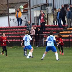 akademija bambi 2010 index ns liga petlica