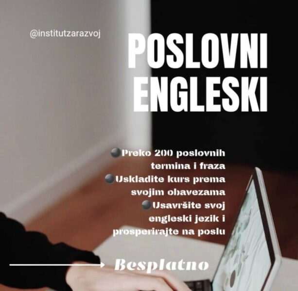 institut za razvoj poslovni engleski