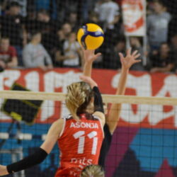 zok klek crvena zvezda novembar 2021 e1637501059880