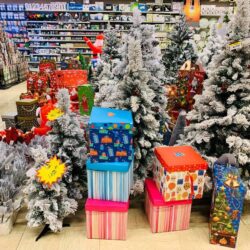 Robna kuca Shopping Family 3