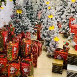 Robna kuca Shopping Family 30 1 e1639990963605