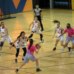 ZKK Proleter Art Basket 2