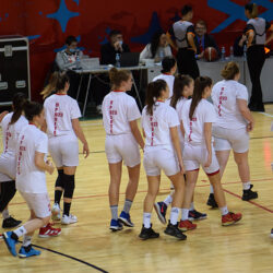 ZKK Proleter Art Basket 8