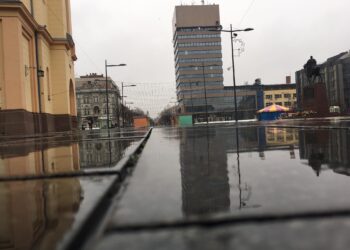 zrenjanin trg kisa