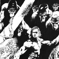 00. TARZAN COVER 11