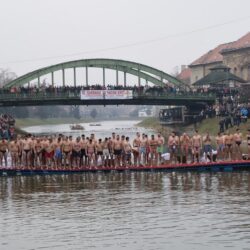 plivanje za casni krst arhiva 2019.