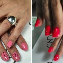 naslovna mell beauty studio 1