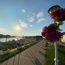 hotel tiski cvet kej 2
