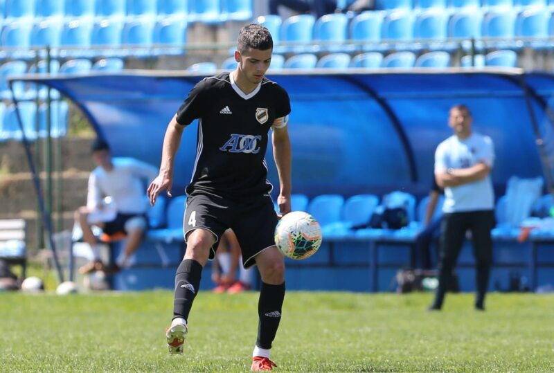 nikola petkovic fk cukaricki