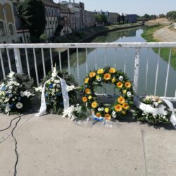 IMG 20220818 102433