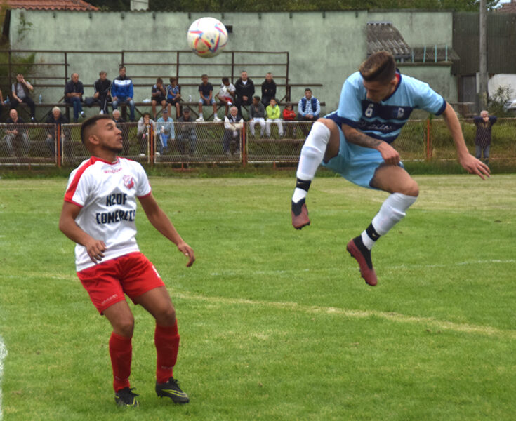 fk borac zrenjanin tamis farkazdin