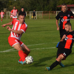 fk crvena zvezda vojvoda stepa zfk banat