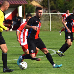 zfk banat crvan zvezda vojvoda stepa